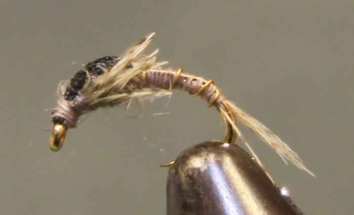 Split Foam Back™ Midges - Get Tight Gear