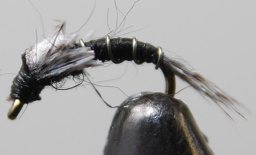 Split Foam Back™ Midges - Get Tight Gear