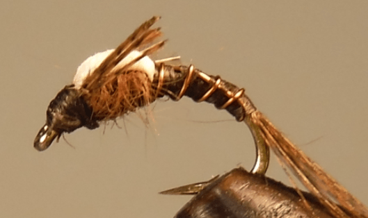 Split Foam Back™ Midges - Get Tight Gear