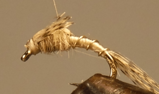 Split Foam Back™ Midges - Get Tight Gear