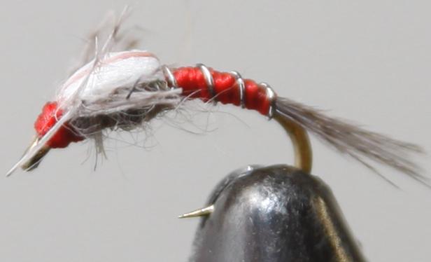 Split Foam Back™ Midges - Get Tight Gear