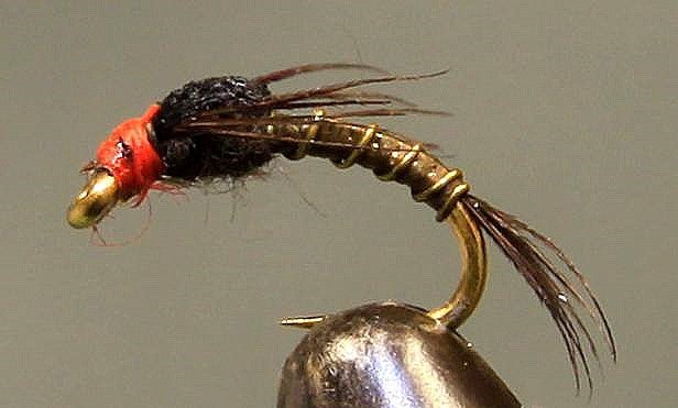 Split Foam Back™ - Orange Head Baetis - Get Tight Gear