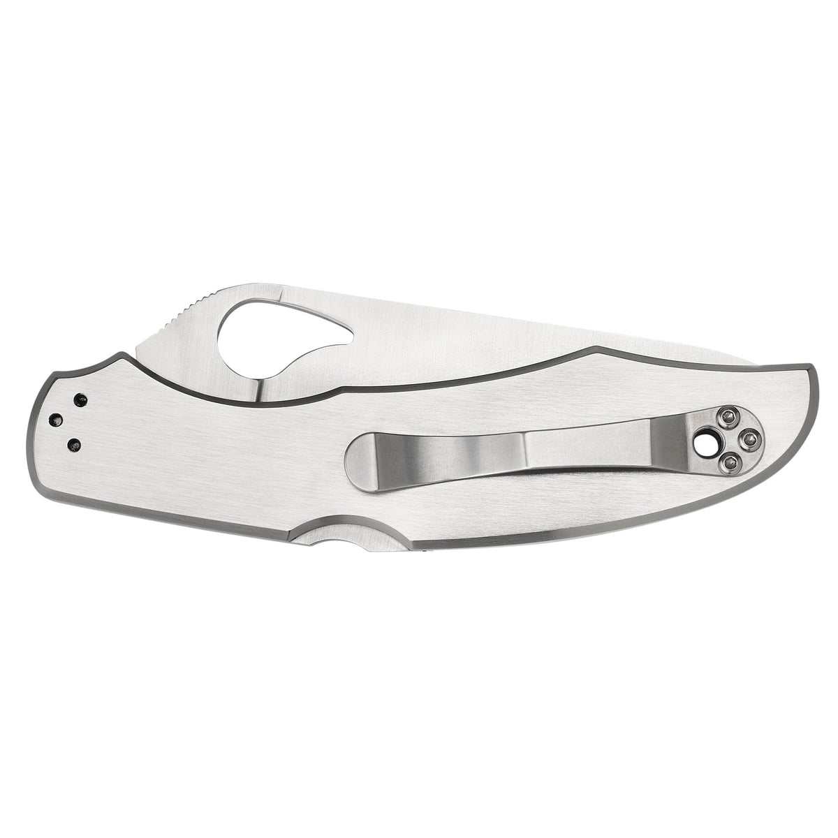 SPYDERCO BYRD CARA CARA 3.75 - Get Tight Gear