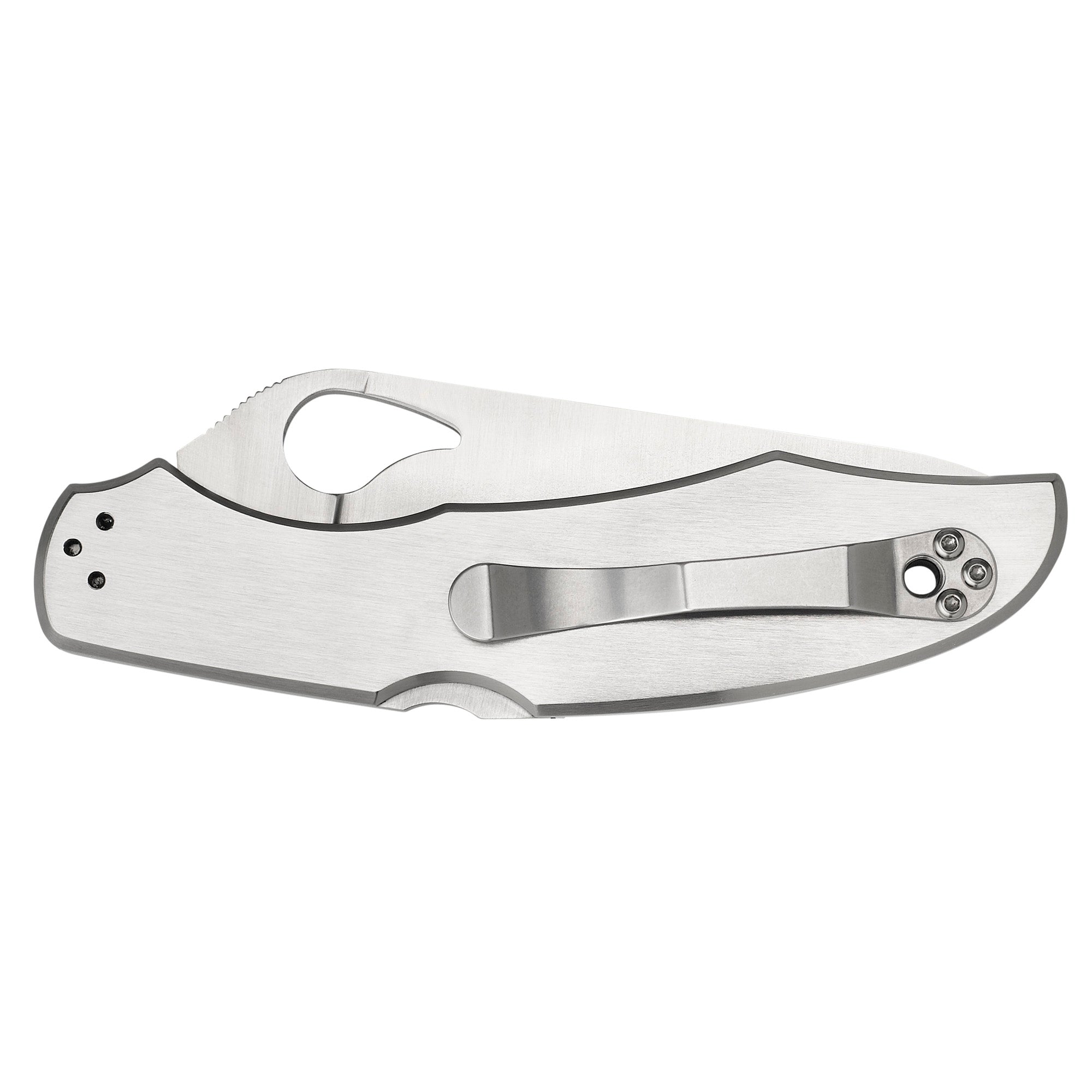 SPYDERCO BYRD CARA CARA 3.75 - Get Tight Gear