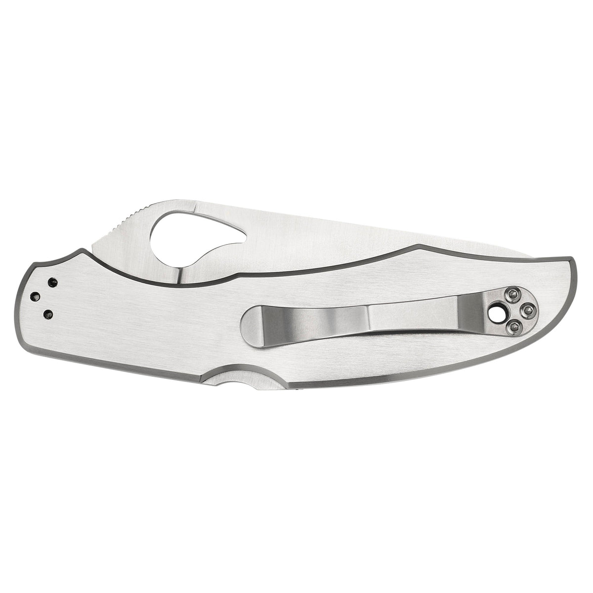 SPYDERCO BYRD CARA CARA 3.75 COMBO - Get Tight Gear
