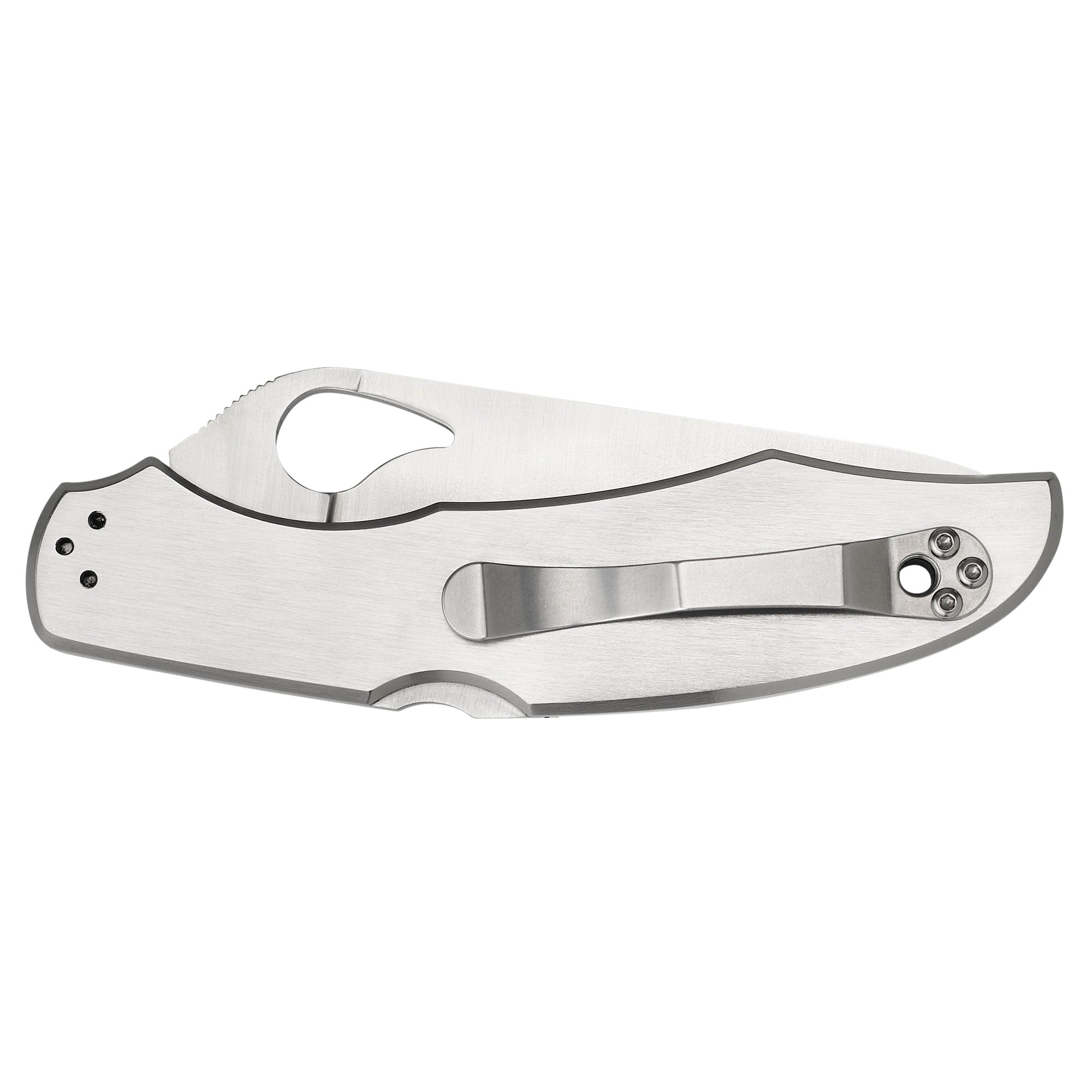 SPYDERCO BYRD CARA CARA 3.75 COMBO - Get Tight Gear