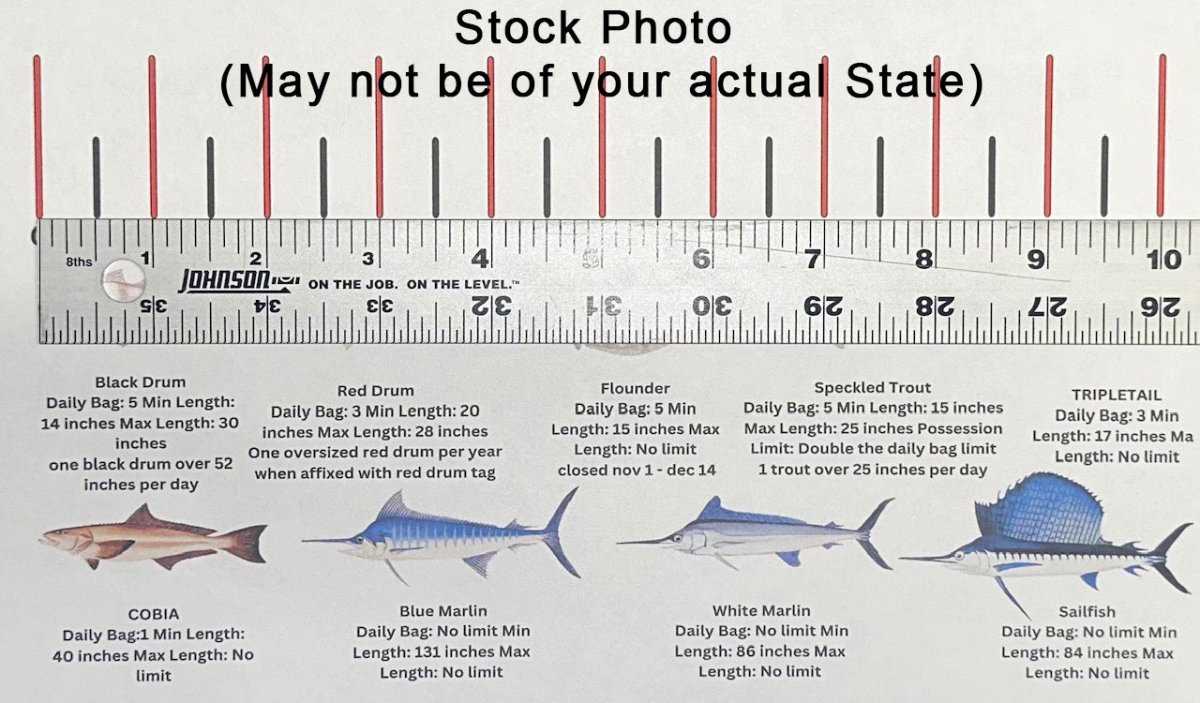 No Snow Ruler Texas TEXAS SALT WATER RULER 50 INCH FISH ID AND STATE REGULATIONS FISH RULER ...