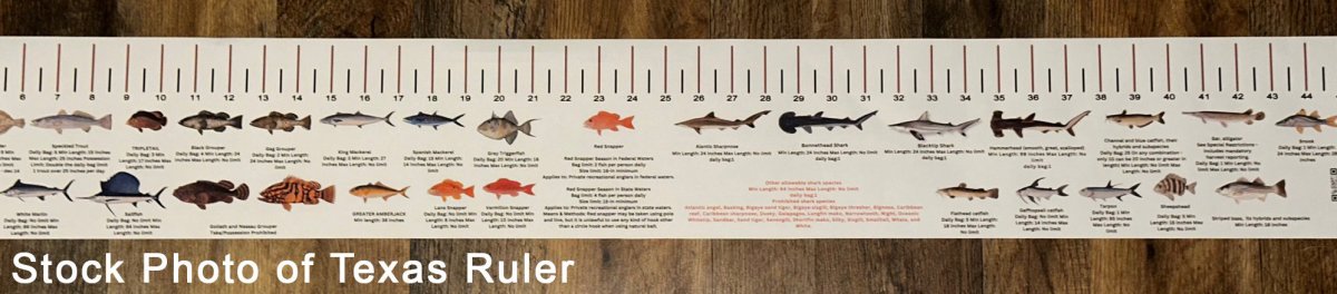 No Snow Ruler Texas TEXAS SALT WATER RULER 50 INCH FISH ID AND STATE REGULATIONS FISH RULER ...