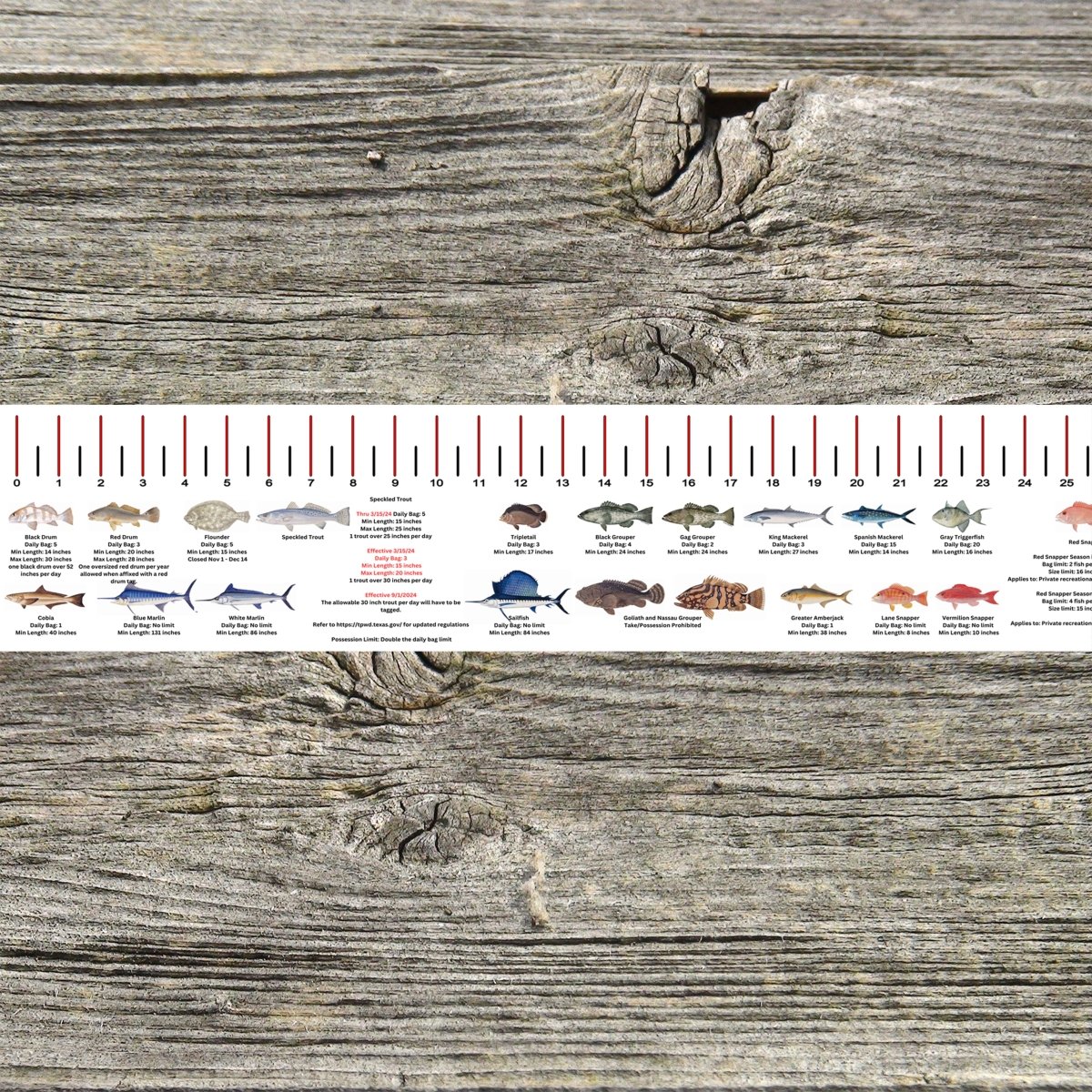 TEXAS SALT WATER RULER 50 INCH FISH ID AND STATE REGULATIONS FISH RULER DECAL - Get Tight Gear