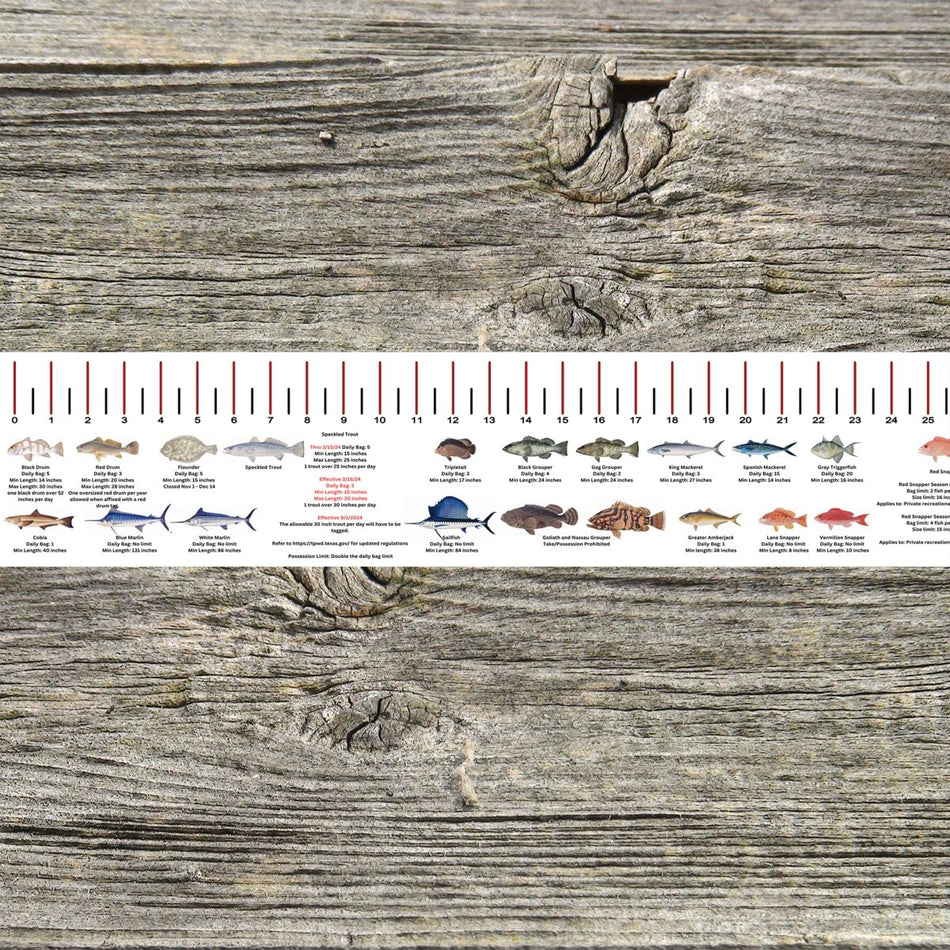 TEXAS SALT WATER RULER 50 INCH FISH ID AND STATE REGULATIONS FISH RULER DECAL - Get Tight Gear