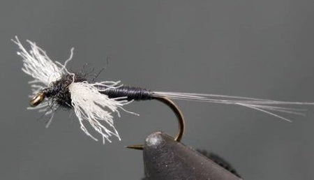 Trico Poly Wing Spinner - Get Tight Gear