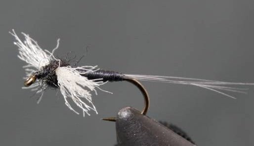 Trico Poly Wing Spinner - Get Tight Gear