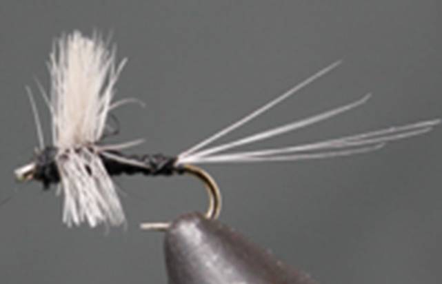 Trico Thorax - Get Tight Gear