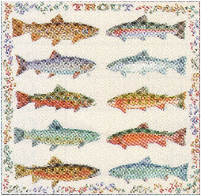 Trout Bandana - Get Tight Gear