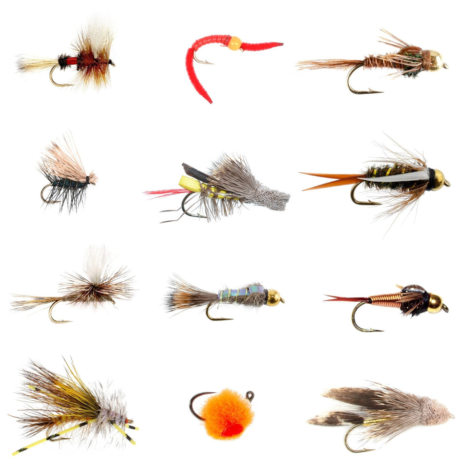 Trout Flies Assortment - 12 Flies for Trout Fly Fishing with Fly Box - Essential Dry and Wet Fly Selection - Get Tight Gear