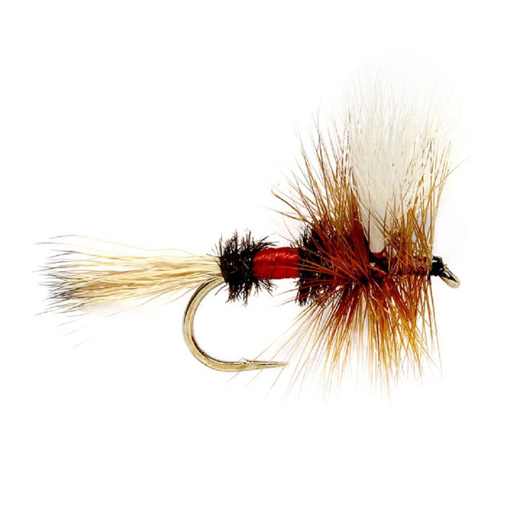 Trout Flies Assortment - 24 Flies for Trout Fly Fishing with Fly Box - Essential Dry and Wet Fly Selection - Get Tight Gear
