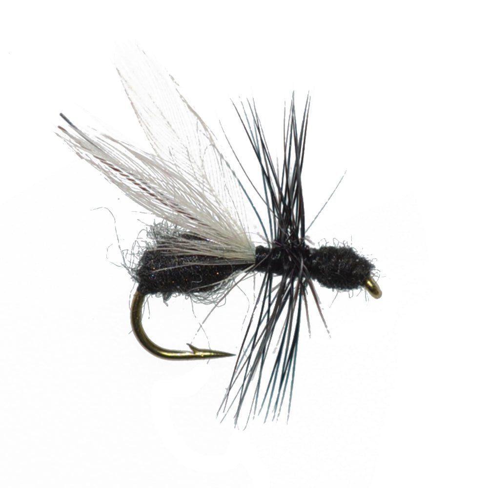 Trout Fly Assortment - Essential Terrestrials Fly Fishing Flies Collection - Includes Foam Hoppers, Ants, Beetles, and Cicadas - 1 Dozen Trout Flies with Fly Box - Get Tight Gear