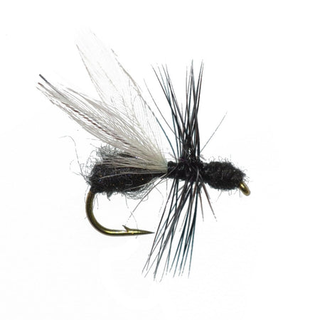 Trout Fly Assortment - Essential Terrestrials Fly Fishing Flies Collection - Includes Foam Hoppers, Ants, Beetles, and Cicadas - 1 Dozen Trout Flies with Fly Box - Get Tight Gear
