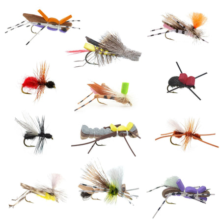 Trout Fly Assortment - Essential Terrestrials Fly Fishing Flies Collection - Includes Foam Hoppers, Ants, Beetles, and Cicadas - 1 Dozen Trout Flies with Fly Box - Get Tight Gear