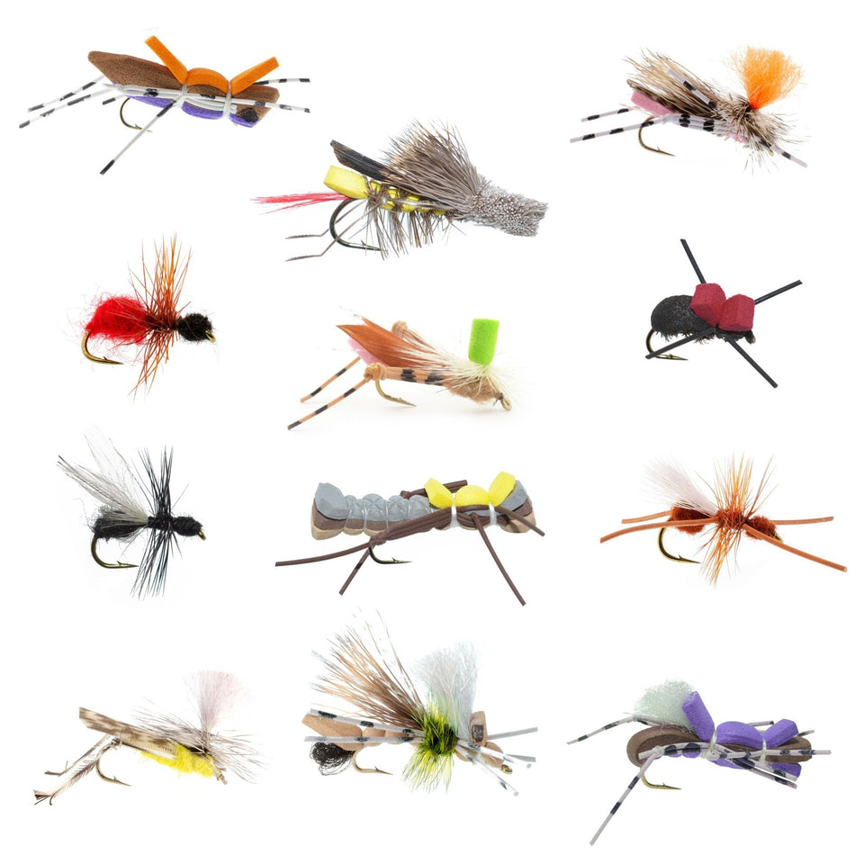 Trout Fly Assortment - Essential Terrestrials Fly Fishing Flies Collection - Includes Foam Hoppers, Ants, Beetles, and Cicadas - 1 Dozen Trout Flies with Fly Box - Get Tight Gear