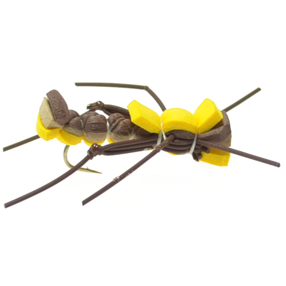 Trout Fly Assortment - Essential Terrestrials Fly Fishing Flies Collection - Includes Foam Hoppers, Ants, Beetles, and Cicadas - 1 Dozen Trout Flies with Fly Box - Get Tight Gear