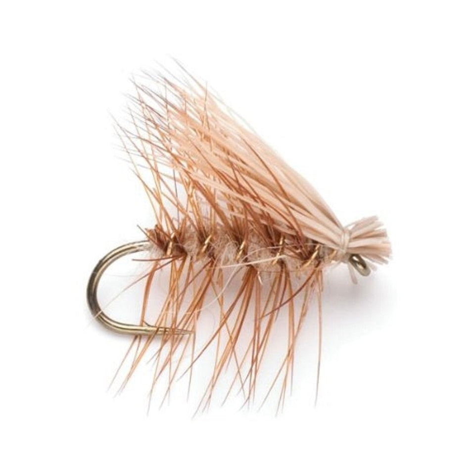 Trout Fly Assortment - Essential Western Dry and Nymph Fly Fishing Flies Collection - 1 Dozen Trout Flies with Fly Box - Get Tight Gear