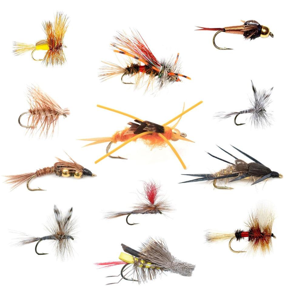 Trout Fly Assortment - Essential Western Dry and Nymph Fly Fishing Flies Collection - 1 Dozen Trout Flies with Fly Box - Get Tight Gear
