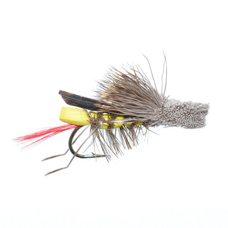 Trout Fly Assortment - Essential Western Dry and Nymph Fly Fishing Flies Collection - 1 Dozen Trout Flies with Fly Box - Get Tight Gear