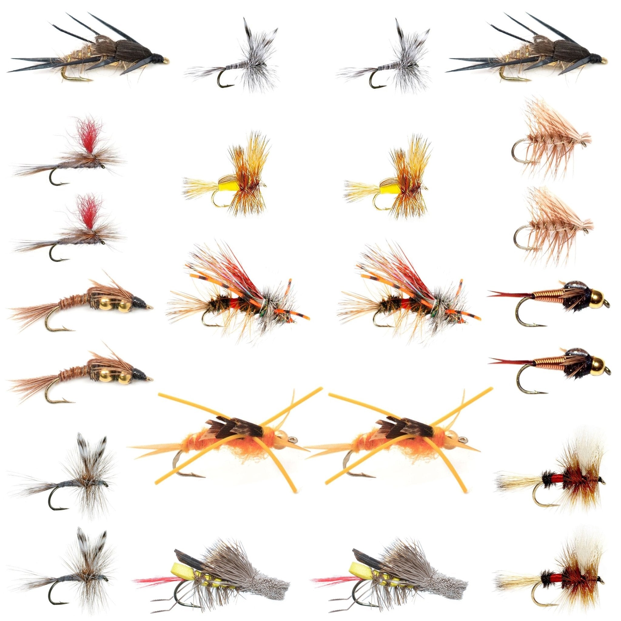 Trout Fly Assortment - Essential Western Dry and Nymph Fly Fishing Flies Collection - 2 Dozen Trout Flies with Fly Box - Get Tight Gear