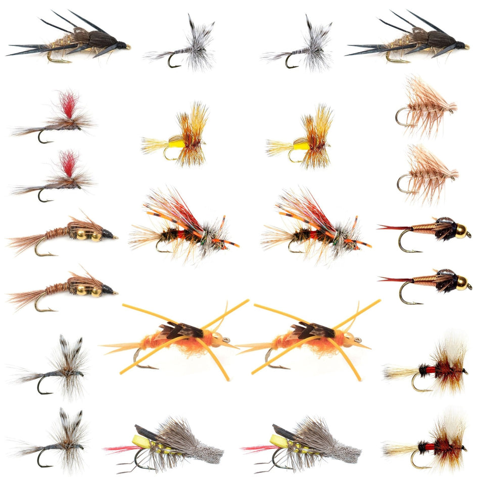 Trout Fly Assortment - Essential Western Dry and Nymph Fly Fishing Flies Collection - 2 Dozen Trout Flies with Fly Box - Get Tight Gear