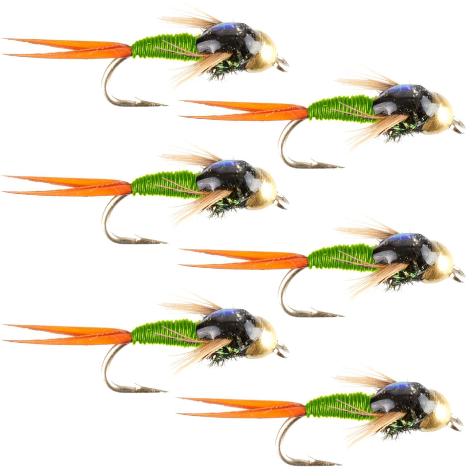 Tungsten Bead Head Chartreuse Copper John Nymph Fly Fishing Flies - Set of 6 Flies Hook Size 16 - Get Tight Gear