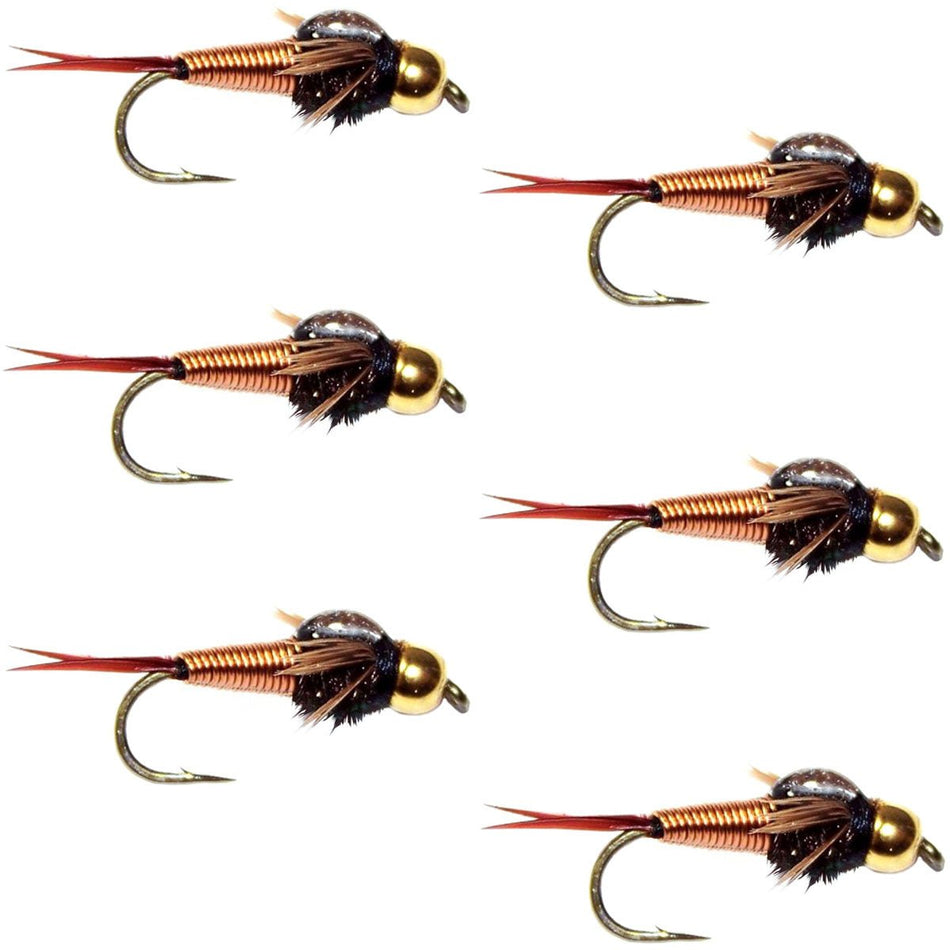 Tungsten Bead Head Copper John Nymph Fly Fishing Flies - Set of 6 Flies Hook Size 18 - Get Tight Gear