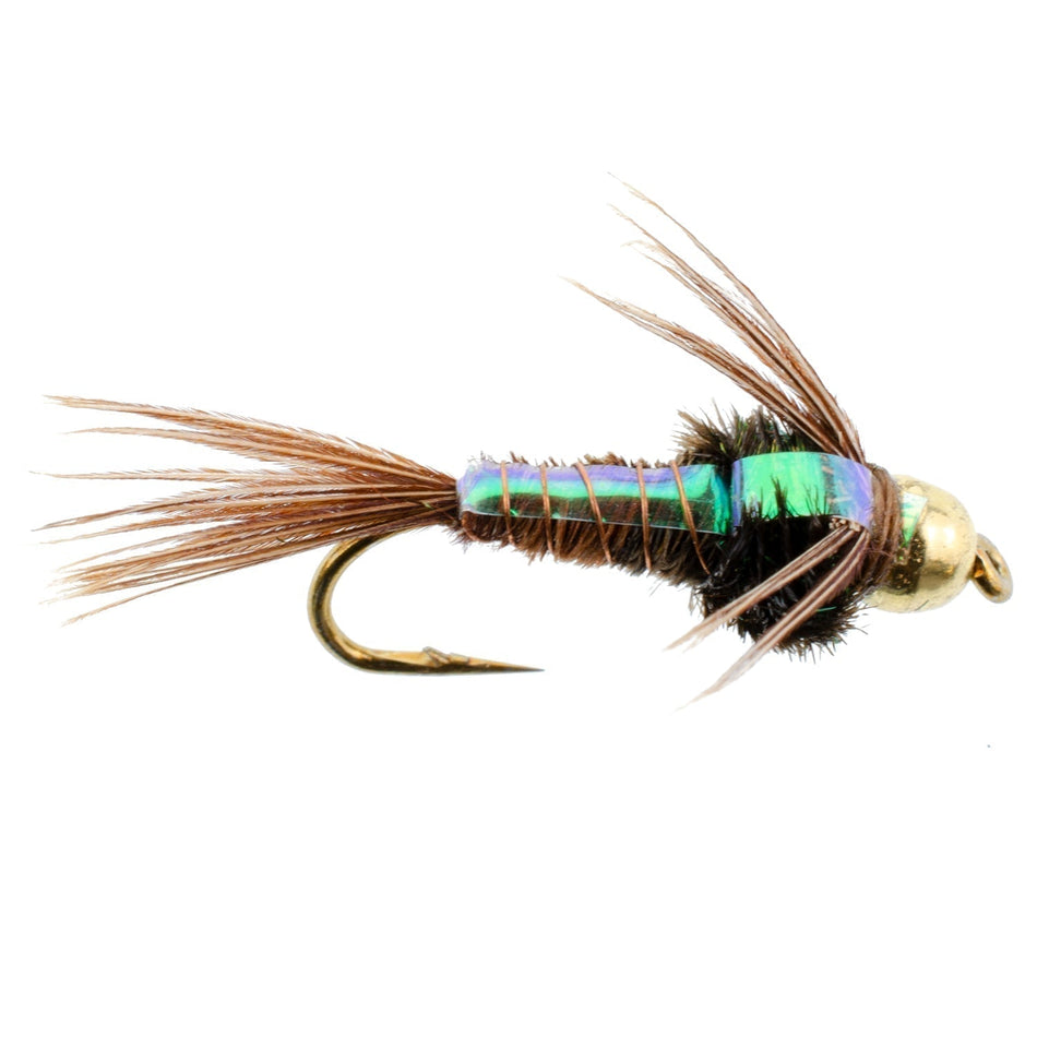 Tungsten Bead Head Flash Back Pheasant Tail Nymph 1 Dozen Flies Size 16 - Get Tight Gear