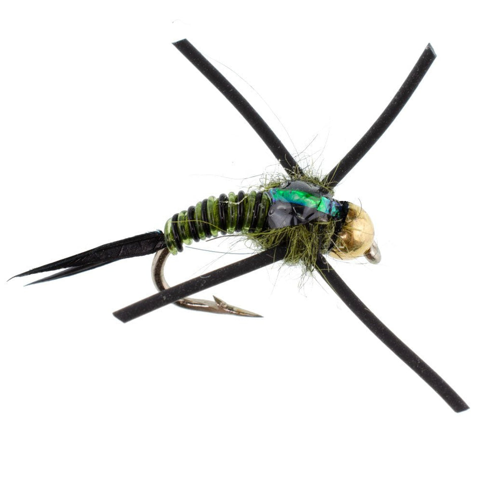 Tungsten Bead Head Rubber Legs Black Olive Zebra Copper John Nymph Fly Fishing Flies - 1 Dozen Flies Hook Size 12 - Get Tight Gear