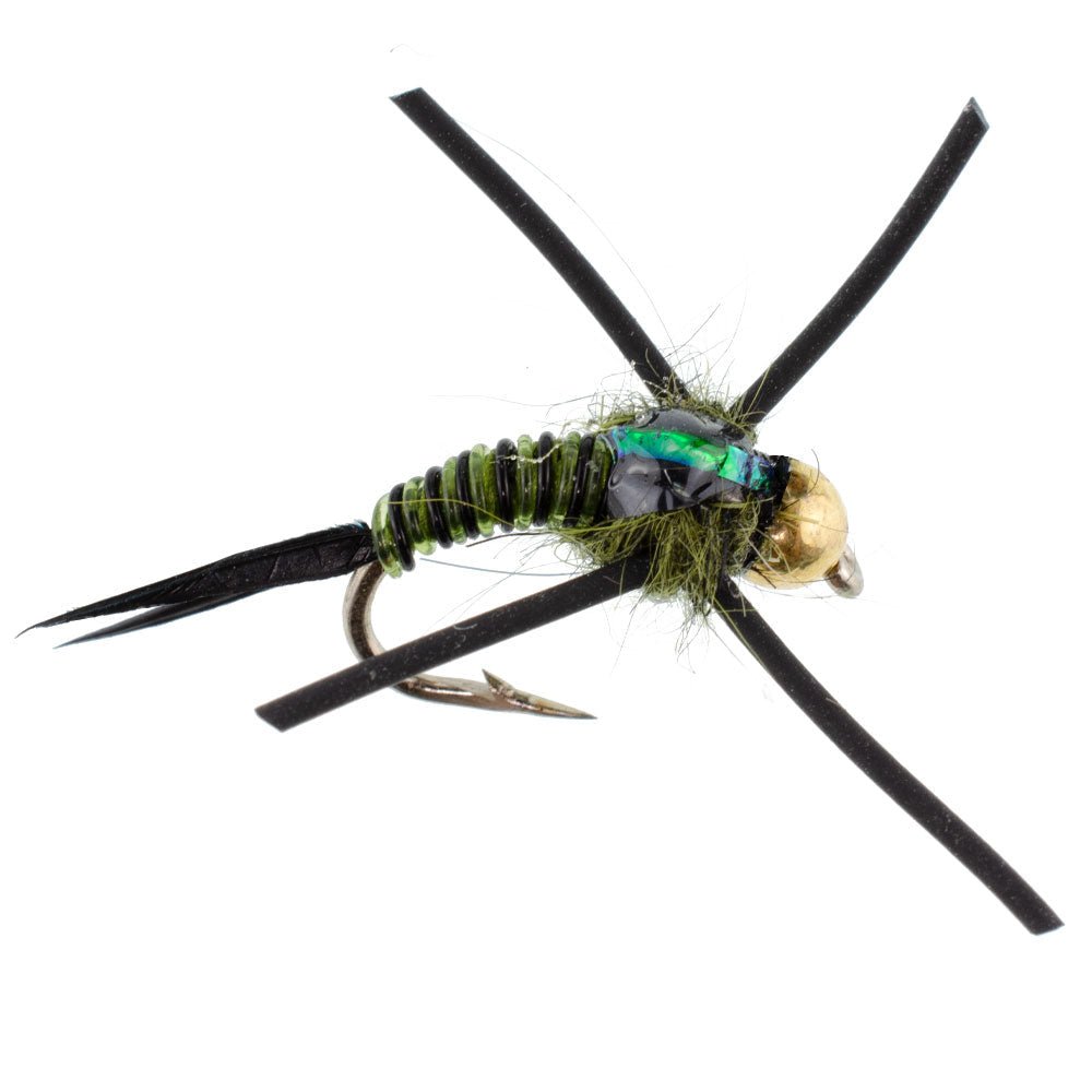 Tungsten Bead Head Rubber Legs Black Olive Zebra Copper John Nymph Fly Fishing Flies - Set of 6 Flies Hook Size 12 - Get Tight Gear