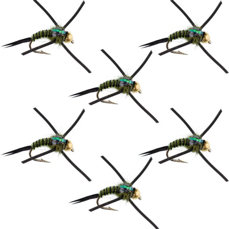 Tungsten Bead Head Rubber Legs Black Olive Zebra Copper John Nymph Fly Fishing Flies - Set of 6 Flies Hook Size 14 - Get Tight Gear