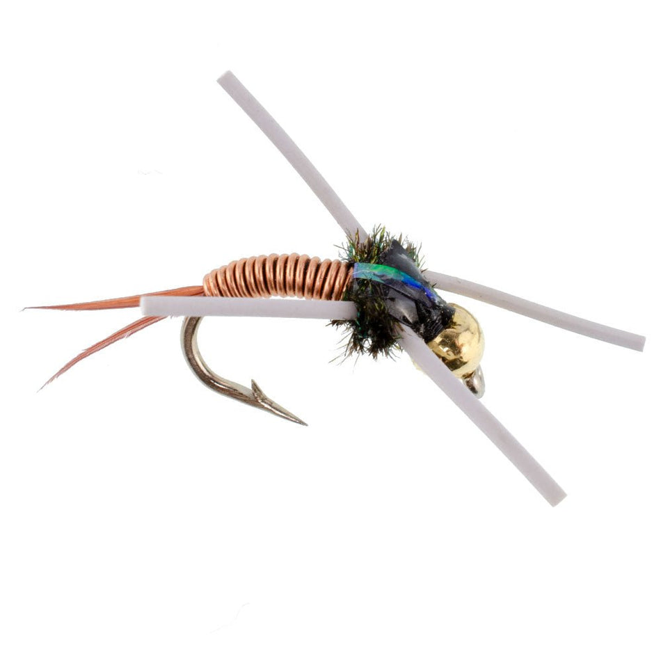 Tungsten Bead Head Rubber Legs Copper John Nymph Fly Fishing Flies - Set of 6 Flies Hook Size 16 - Get Tight Gear