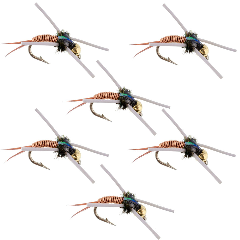 Tungsten Bead Head Rubber Legs Copper John Nymph Fly Fishing Flies - Set of 6 Flies Hook Size 16 - Get Tight Gear