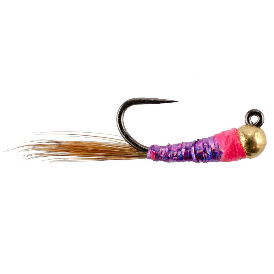 Tungsten Bead Hot Spot Purple Perdigon Tactical Jig Spanish Czech Euro Nymph Fly - 6 Flies Size 14 - Get Tight Gear