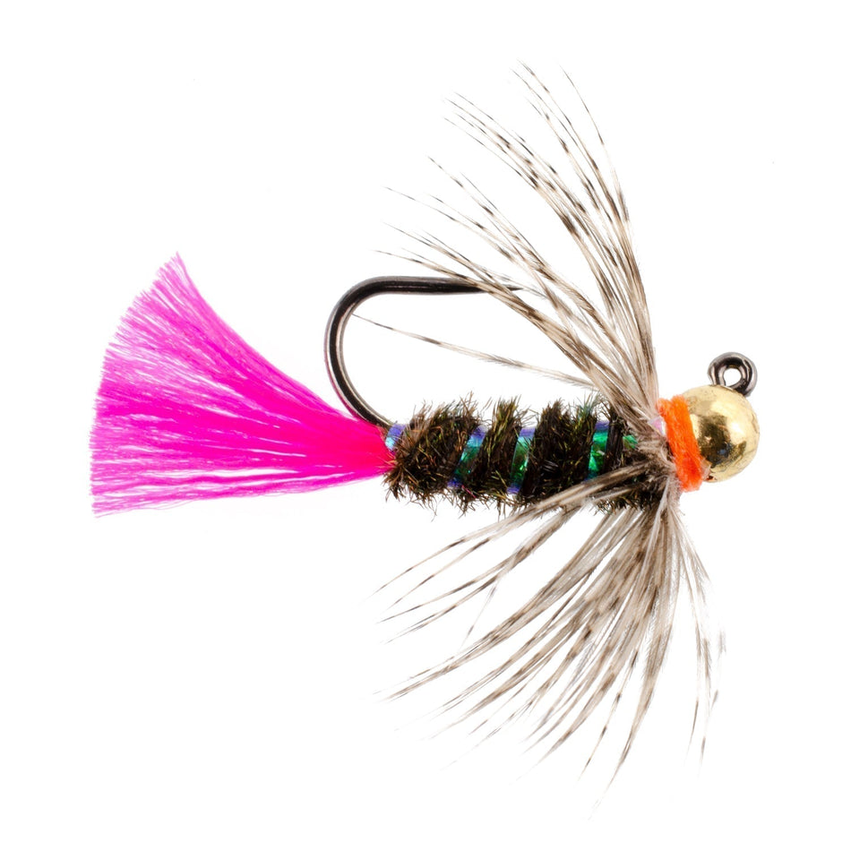 Tungsten Bead Jig Tactical Blow Torch Czech Nymph Euro Nymphing Fly - 1 Dozen Flies Size 12 - Get Tight Gear
