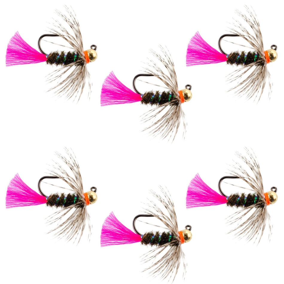 Tungsten Bead Jig Tactical Blow Torch Czech Nymph Euro Nymphing Fly - 6 Flies Size 12 - Get Tight Gear