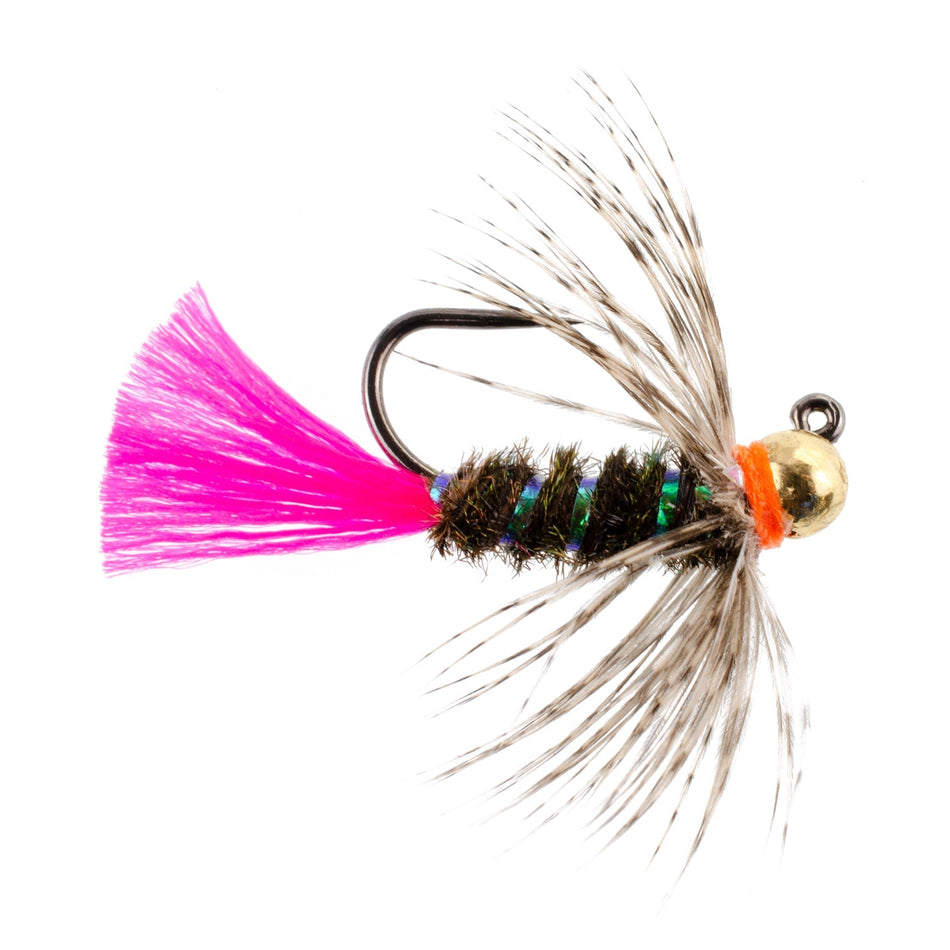 Tungsten Bead Jig Tactical Blow Torch Czech Nymph Euro Nymphing Fly - 6 Flies Size 16 - Get Tight Gear