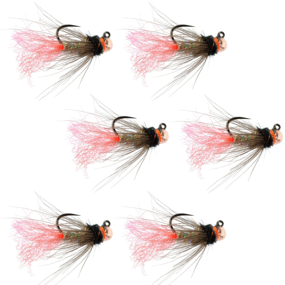 Tungsten Bead Jig Tasmanian Devil Tactical Czech Nymph Euro Nymphing Fly - 6 Flies Size 14 - Get Tight Gear