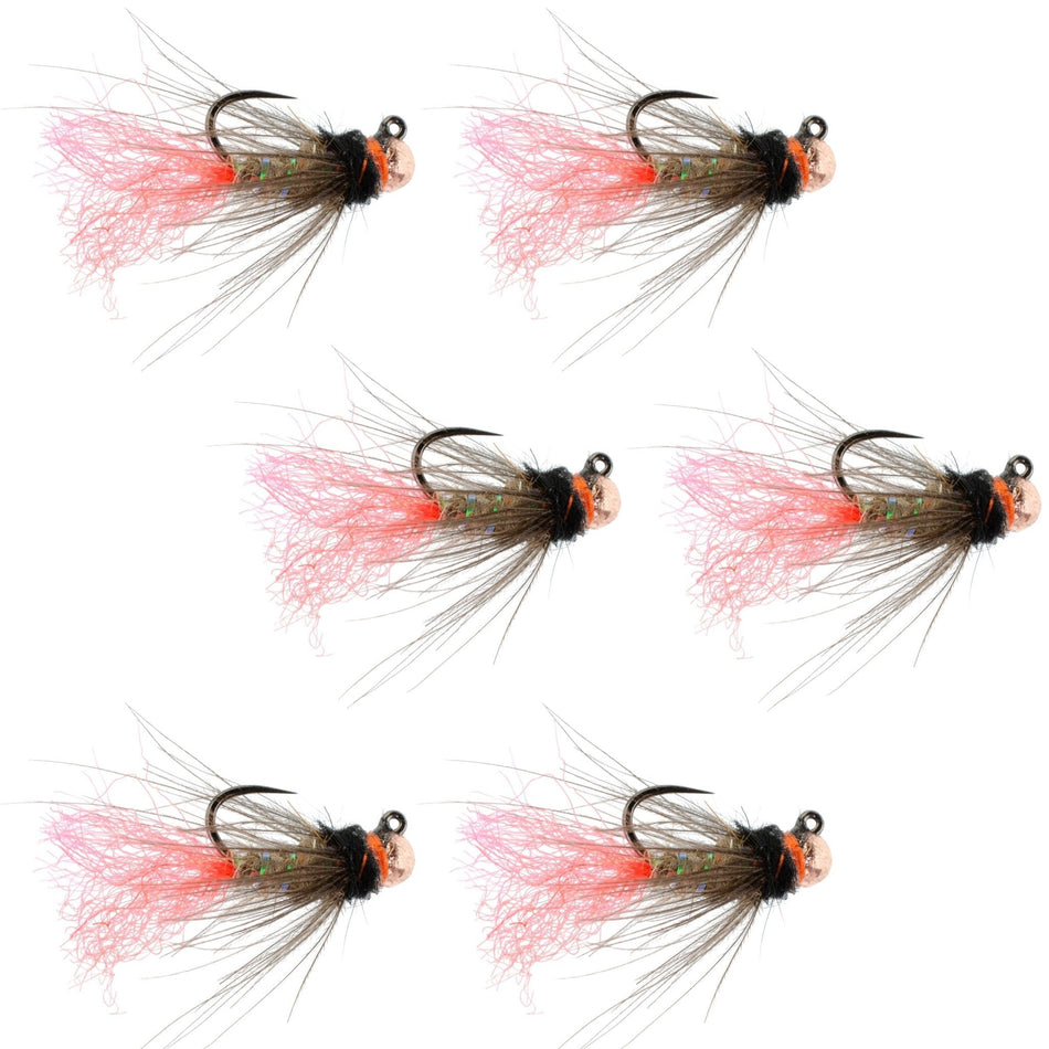 Tungsten Bead Jig Tasmanian Devil Tactical Czech Nymph Euro Nymphing Fly - 6 Flies Size 16 - Get Tight Gear