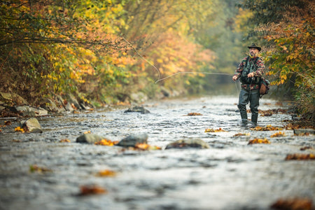 Tungsten Bead Kaufmann's Black Stone Fly with Rubber Legs - Stonefly Wet Fly - 6 Flies Hook Size 8 - Get Tight Gear