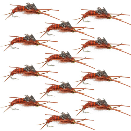Tungsten Bead Kaufmann's Brown Stone Fly with Rubber Legs - Stonefly Wet Fly - 1 Dozen Flies Hook Size 10 - Get Tight Gear