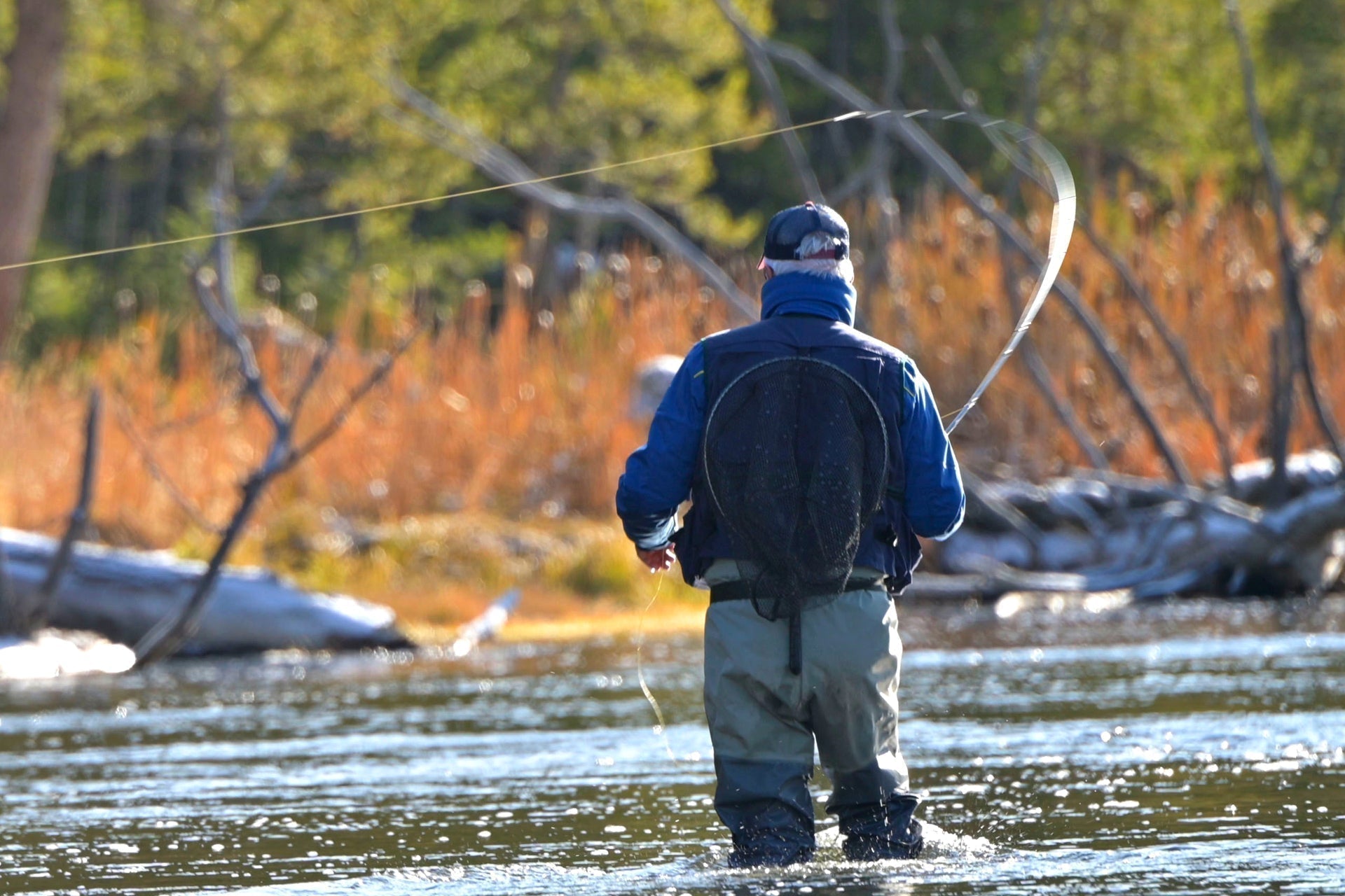 Tungsten Bead Kaufmann's Brown Stone Fly with Rubber Legs - Stonefly Wet Fly - 6 Flies Hook Size 10 - Get Tight Gear