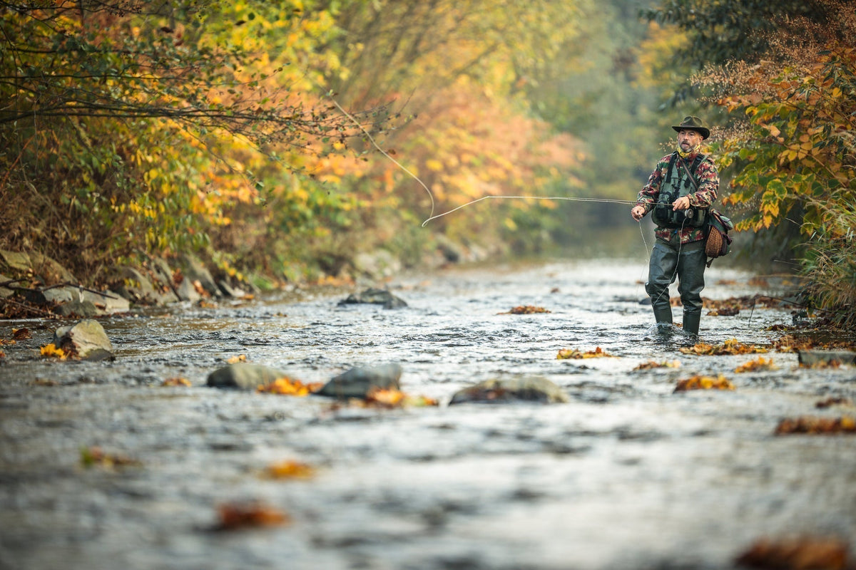 Tungsten Bead Kaufmann's Brown Stone Fly with Rubber Legs - Stonefly Wet Fly - 6 Flies Hook Size 10 - Get Tight Gear