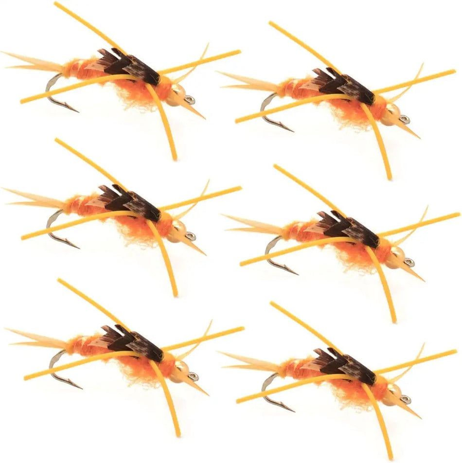 Tungsten Bead Kaufmann's Golden Stone Fly with Rubber Legs - Stonefly Wet Fly - 6 Flies Hook Size 6 - Get Tight Gear