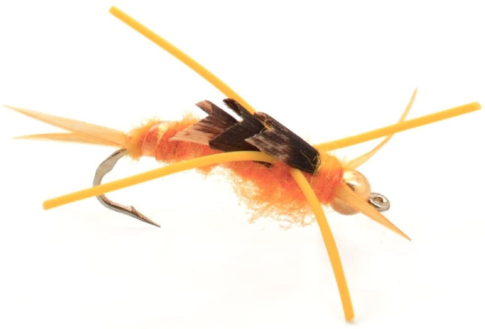 Tungsten Bead Kaufmann's Golden Stone Fly with Rubber Legs - Stonefly Wet Fly - 6 Flies Hook Size 8 - Get Tight Gear